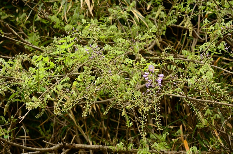 b0288942_11121036.jpg