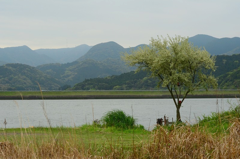 b0288942_11163235.jpg