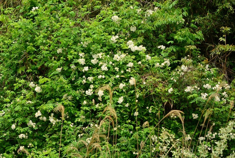b0288942_1142817.jpg