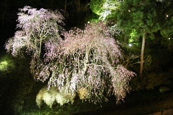 c0326245_10373605.jpg