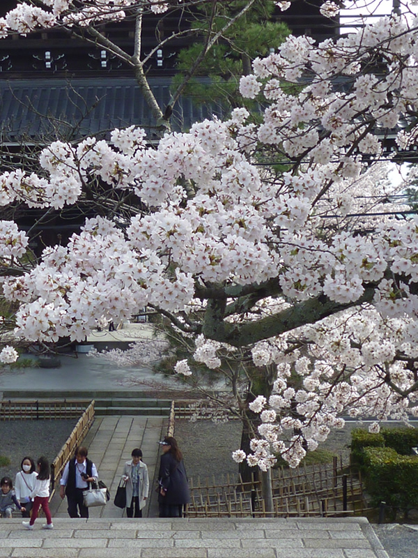 f0190950_11334213.jpg