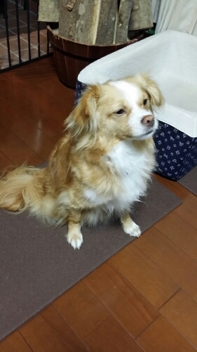 f0046854_0354827.jpg