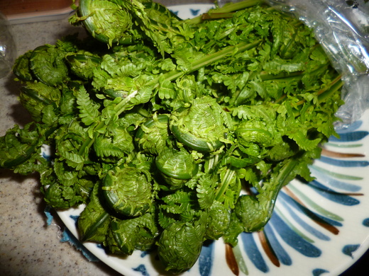 d0231858_73867.jpg