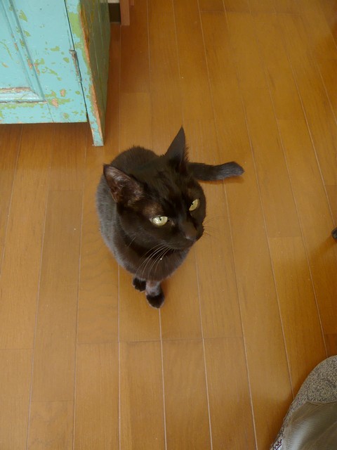 c0223959_13281645.jpg