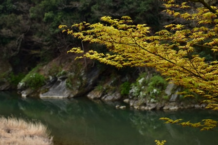 f0342371_18334196.jpg
