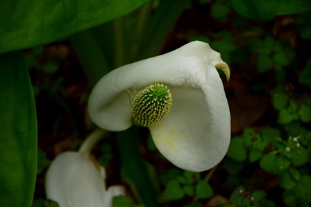 f0342371_18344244.jpg