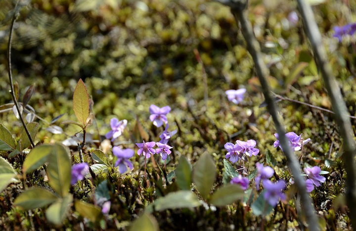 f0108478_16541199.jpg