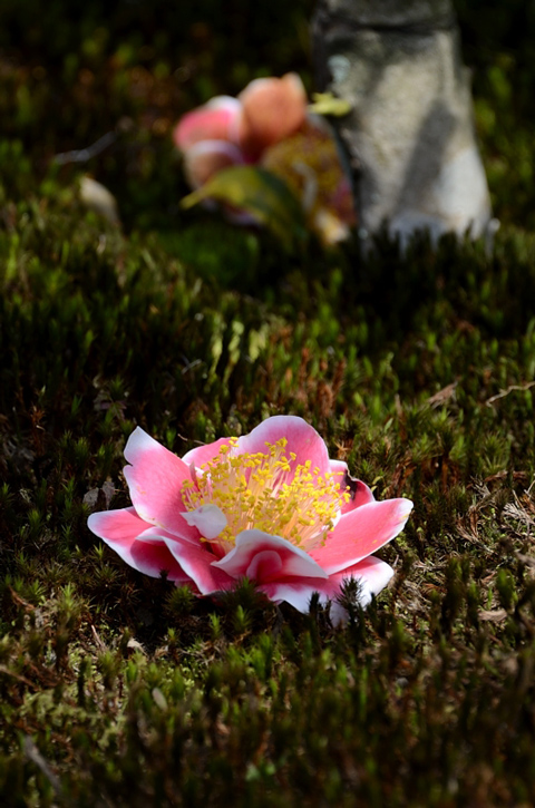 f0108478_16581285.jpg