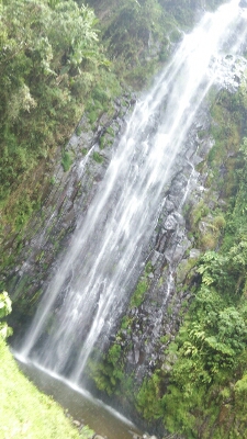 a0243396_5284786.jpg