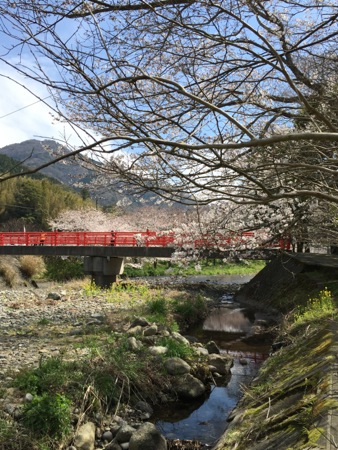 a0218499_22411464.jpg