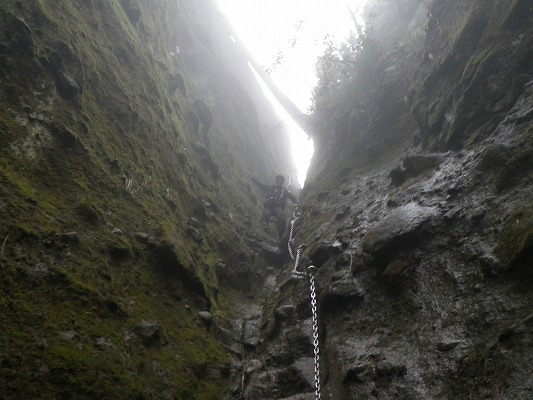 f0187402_20412915.jpg
