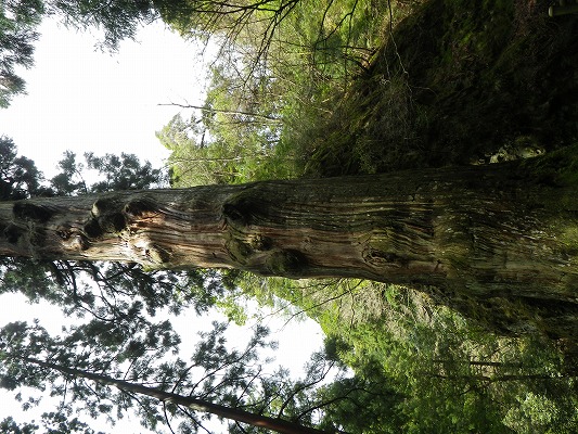 f0187402_20425552.jpg