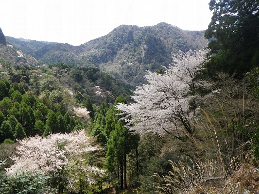 f0187402_20433935.jpg