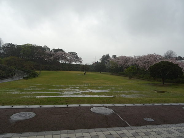 b0052108_729688.jpg
