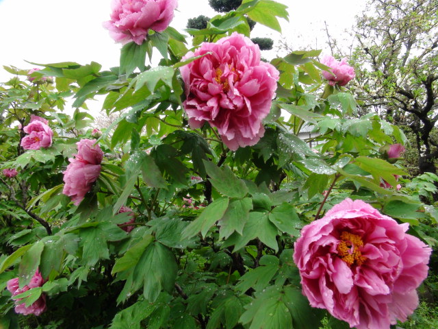 f0231709_23144321.jpg