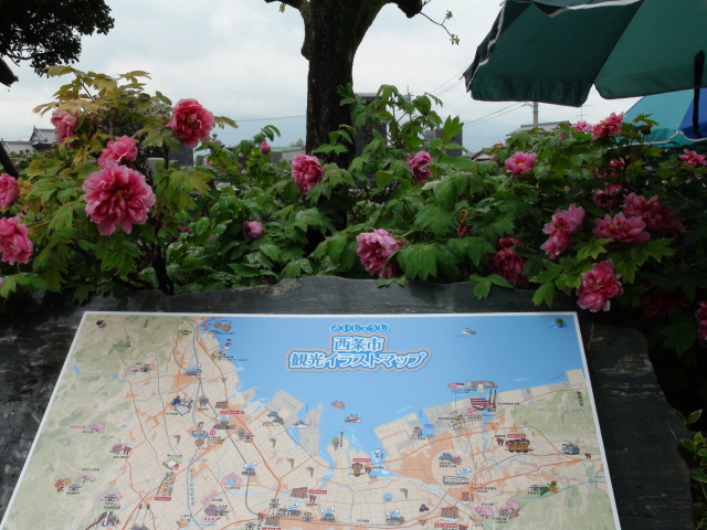 f0231709_2314849.jpg