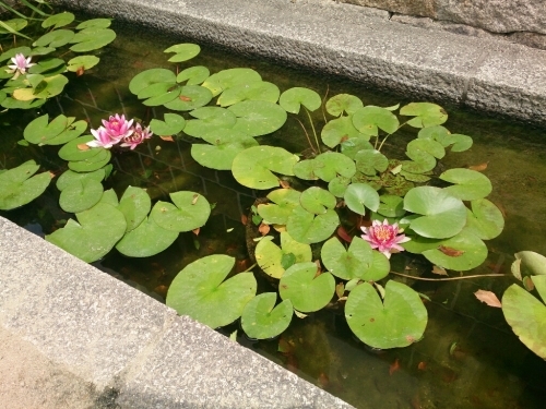 c0352015_21345723.jpg