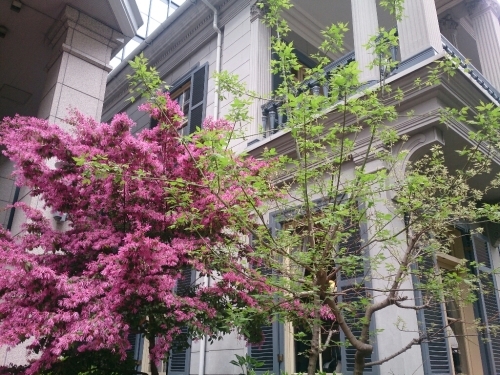 c0352015_21345749.jpg