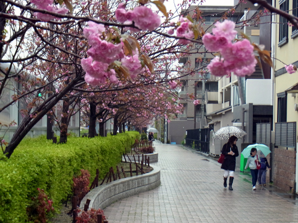 e0083517_00143121.jpg