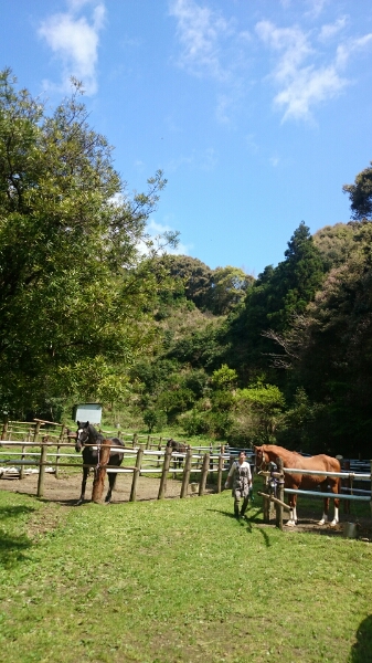 b0187620_20311546.jpg