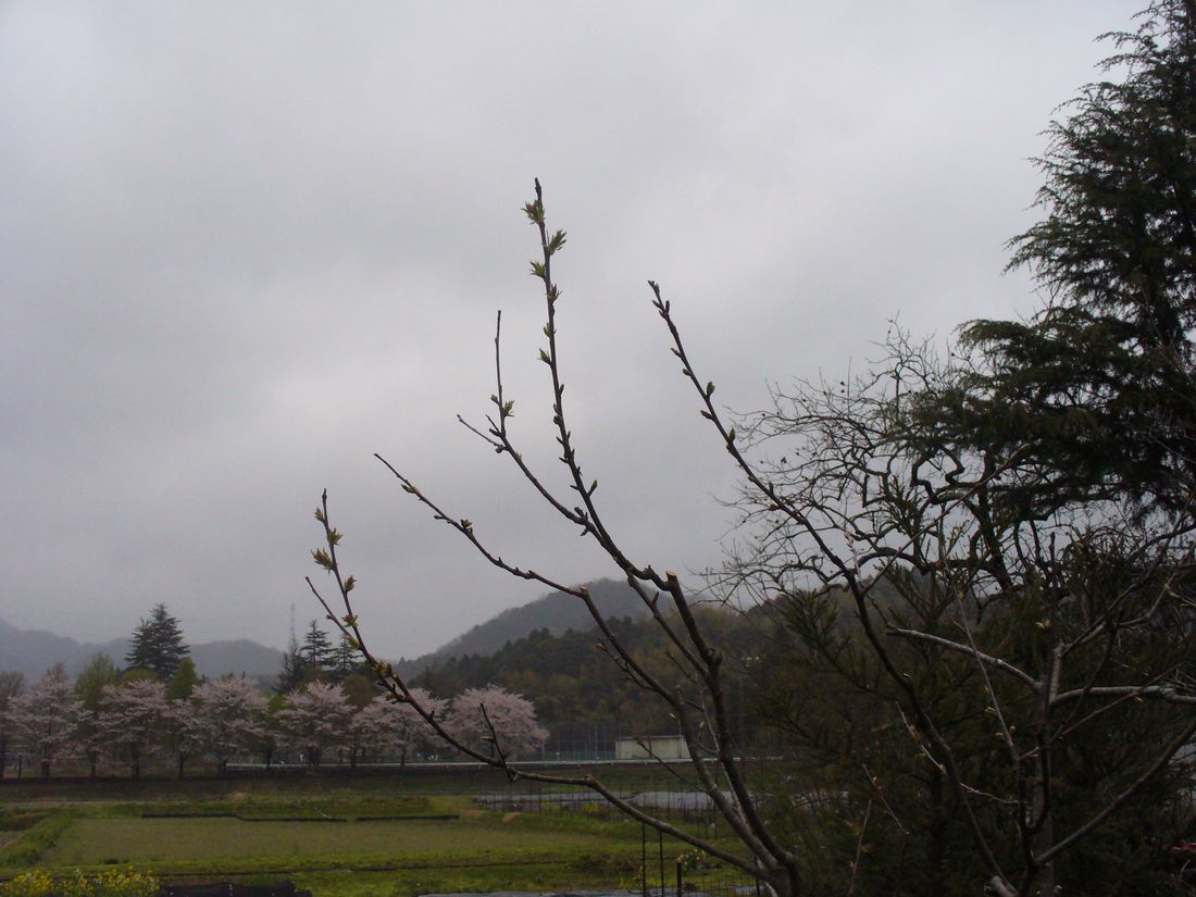 f0346527_21545464.jpg