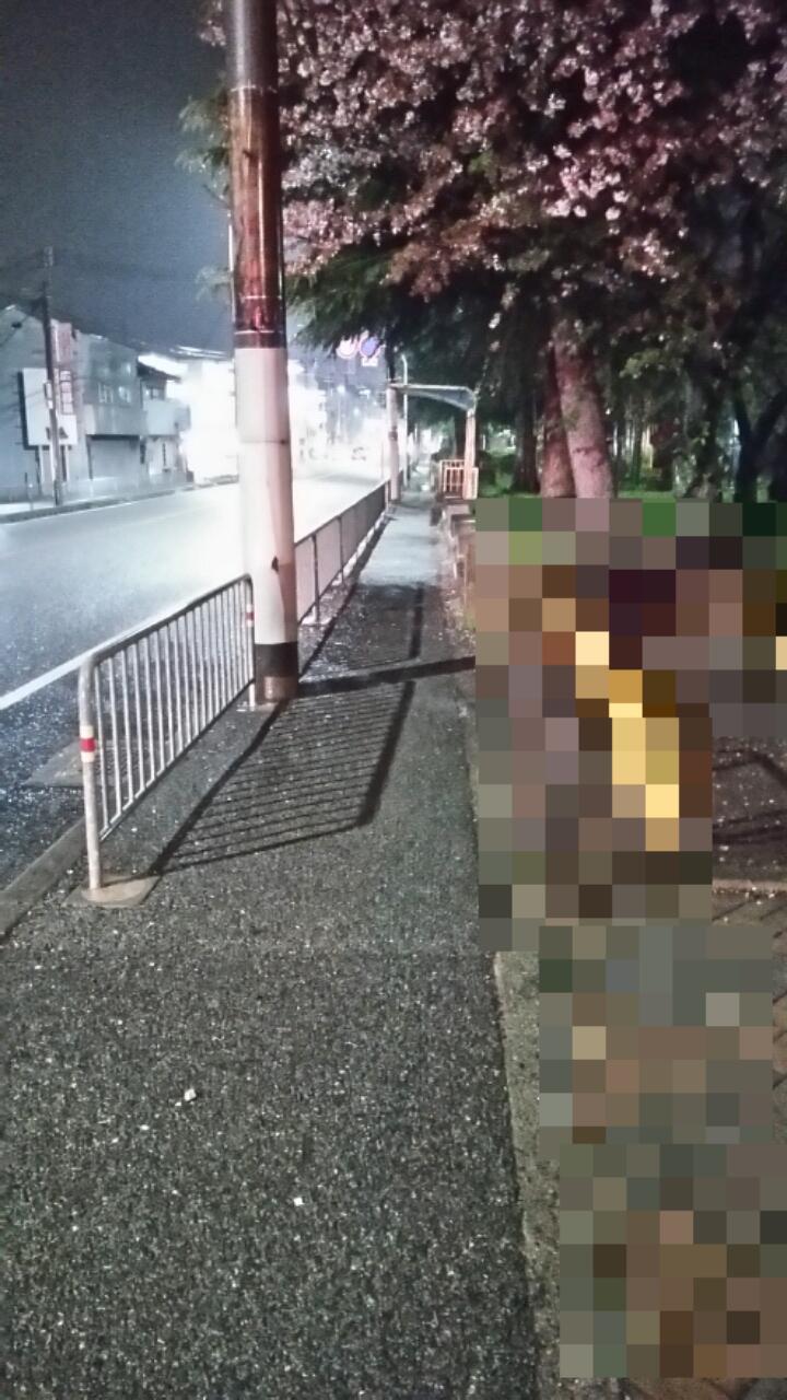 c0337631_19262021.jpg