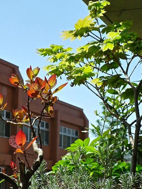 b0027736_13292291.jpg