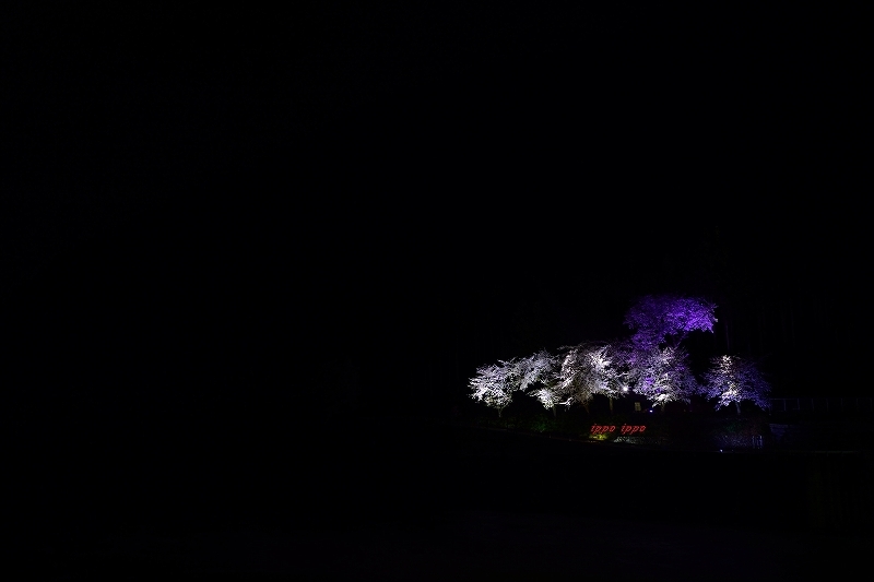b0311736_22494261.jpg