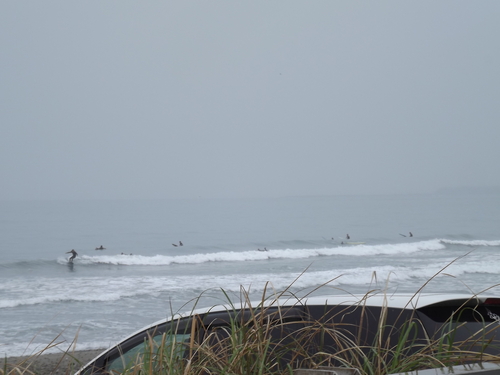 f0248337_8535476.jpg