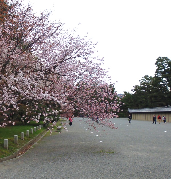 f0190950_1427359.jpg