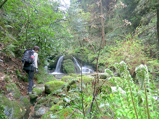 f0356953_21121086.jpg