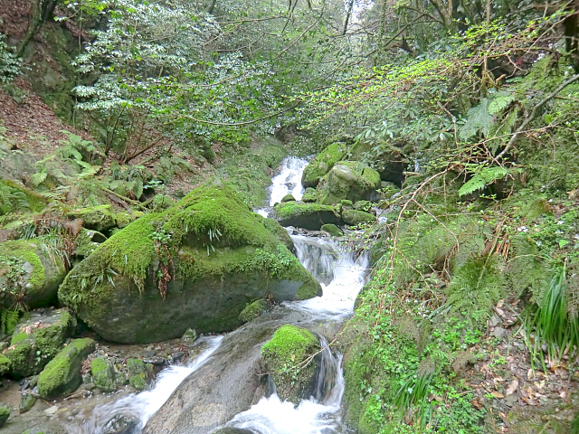 f0356953_21140103.jpg