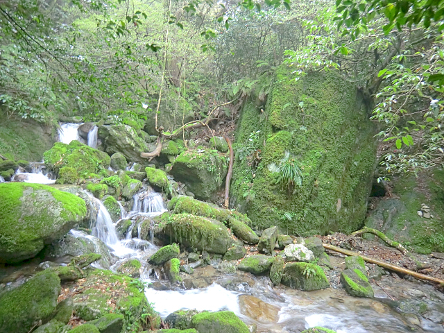 f0356953_21145628.jpg