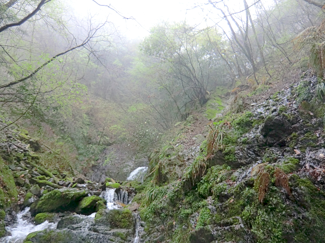 f0356953_21353831.jpg