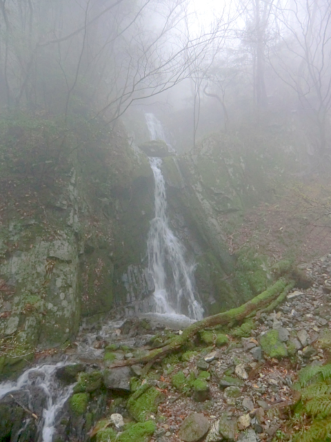 f0356953_21395591.jpg
