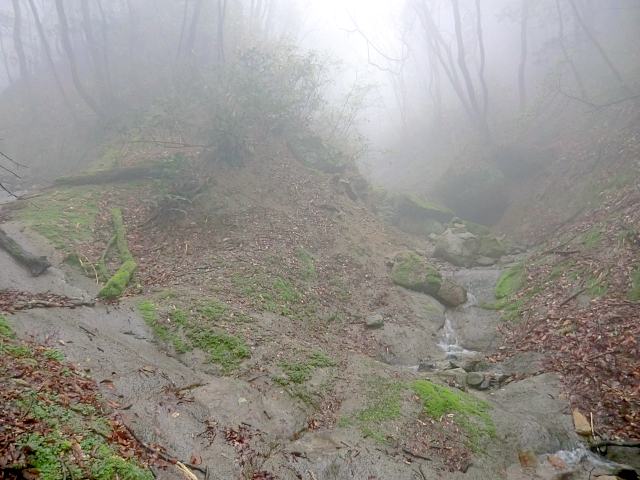 f0356953_21433446.jpg