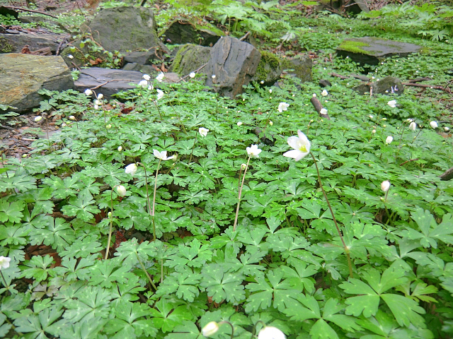 f0356953_22162086.jpg