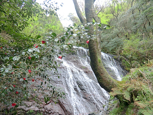 f0356953_22392053.jpg