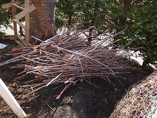 e0004756_20204560.jpg