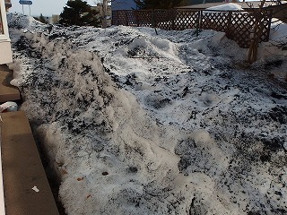 e0004756_2025353.jpg