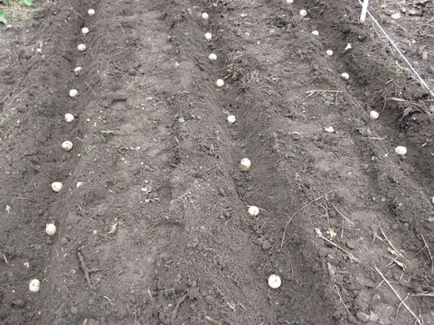 e0325357_1925279.jpg
