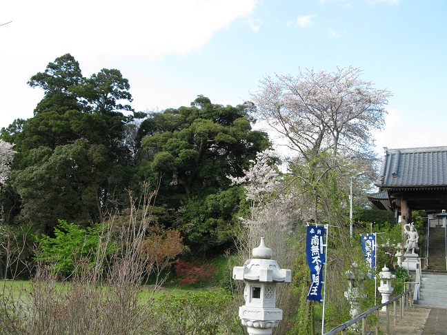 a0052762_14563713.jpg