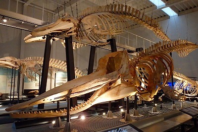 b0171771_07511103.jpg