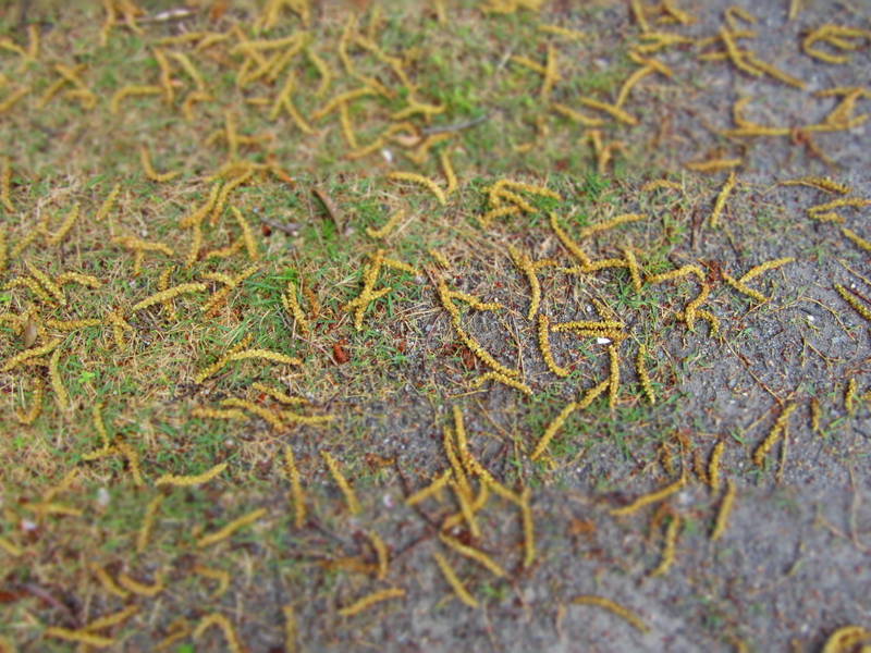 d0264176_18363224.jpg