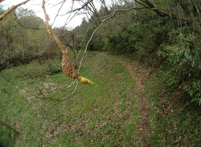 f0090680_21524351.jpg