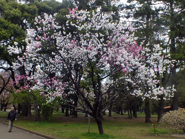 e0145782_17481159.jpg