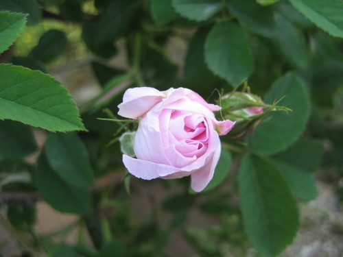 f0201297_9255396.jpg