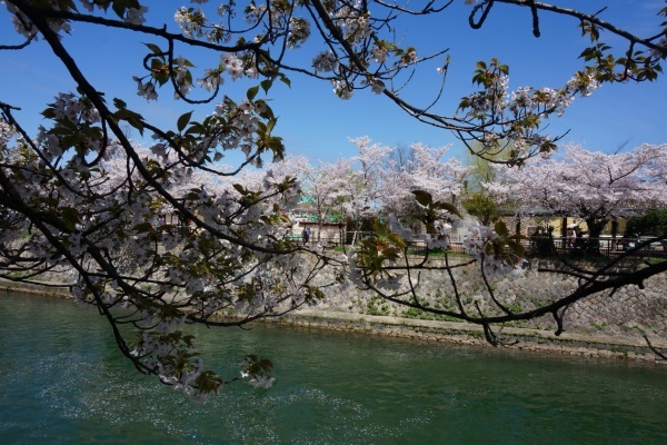 f0036603_19065204.jpg