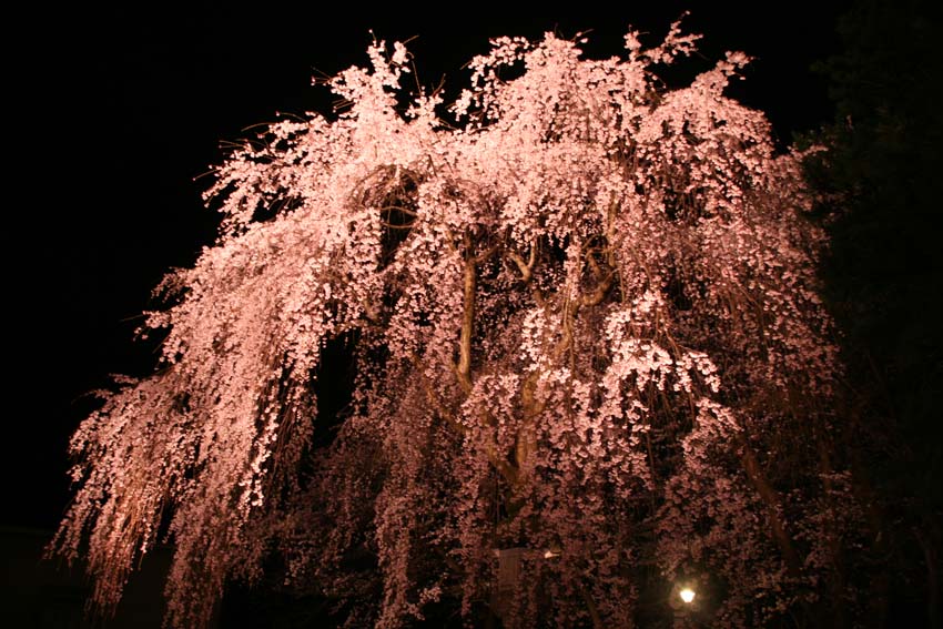 f0014205_8472742.jpg