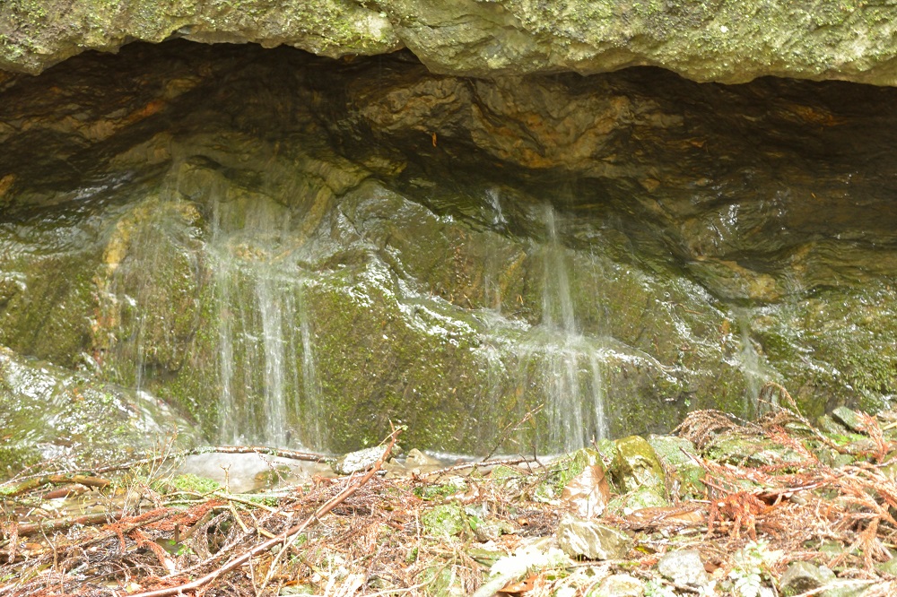b0277008_19565237.jpg